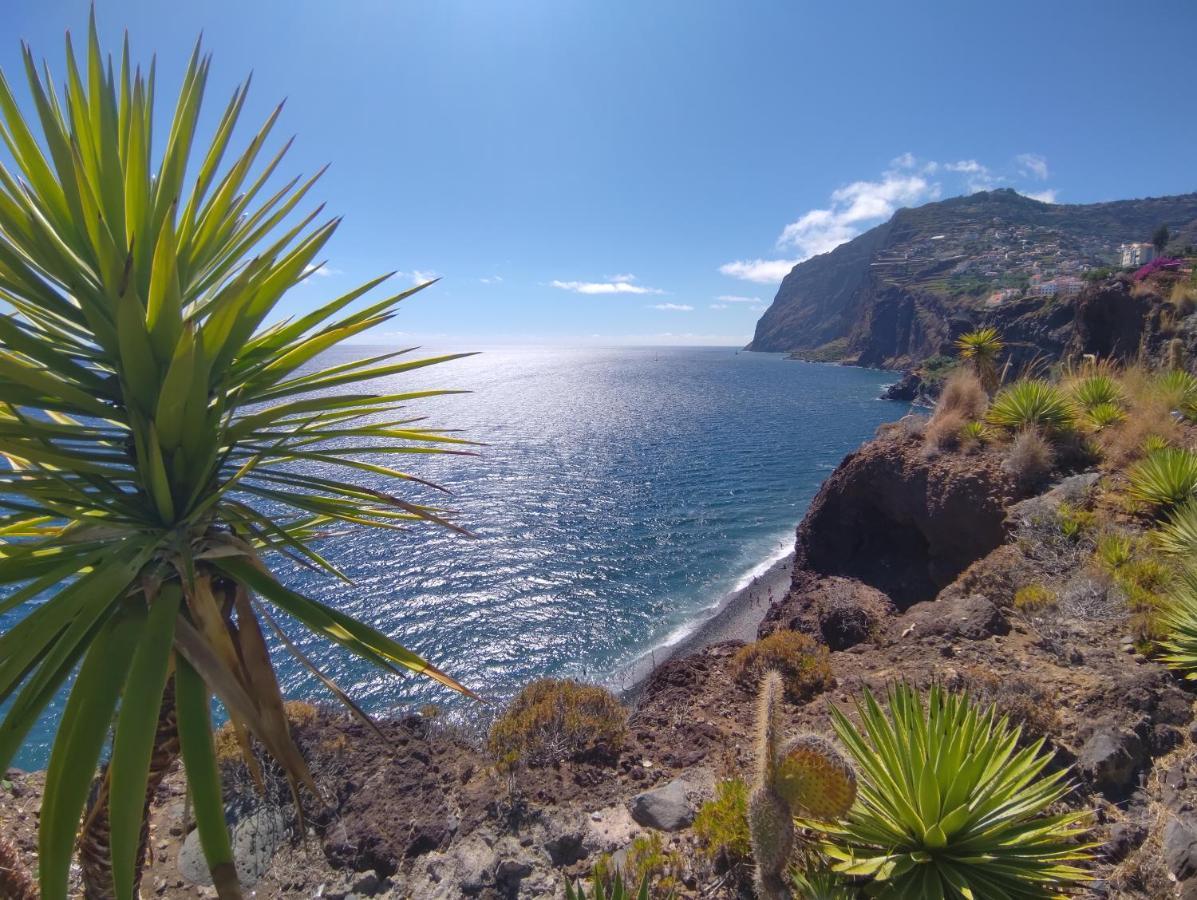 Attic Bay Apartment Camara de Lobos Luaran gambar